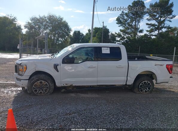 1FTEW1EP3NKD86280 2022 FORD F150 Белый Панорамный вид салона 360°