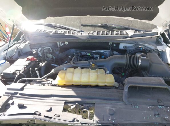 1FTEW1EP4LFC65327 2020 FORD F150 White უკანა ხედი