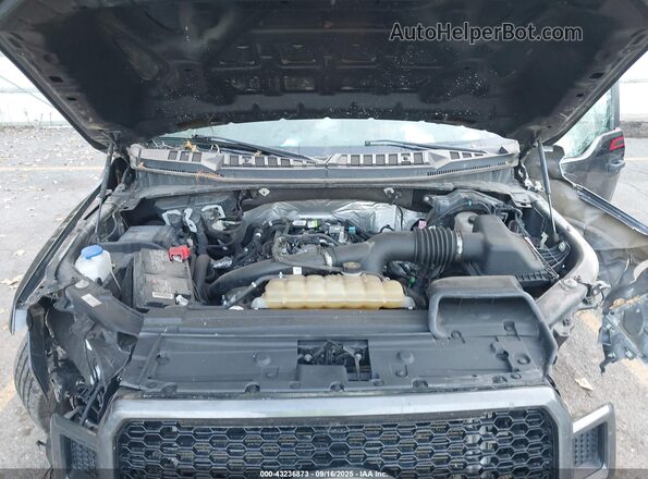 1FTEW1EP9LFC57594 2020 FORD F150 Gray Вид ззаду