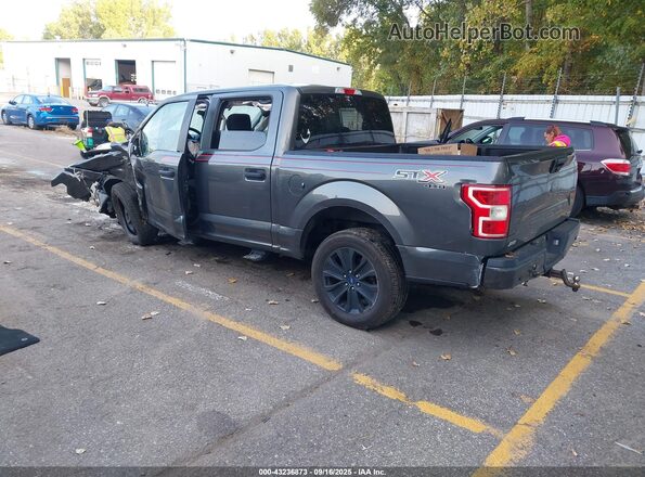 1FTEW1EP9LFC57594 2020 FORD F150 Gray Задня ліва чверть