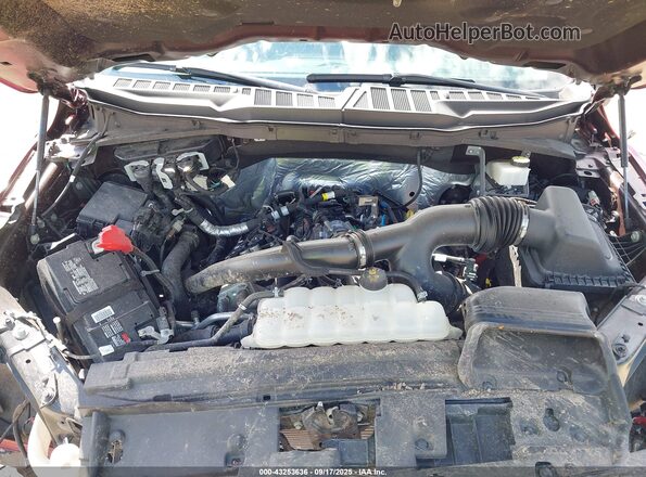 1FTEW3KP1RFC21018 2024 FORD F150 Red Widok z tyłu