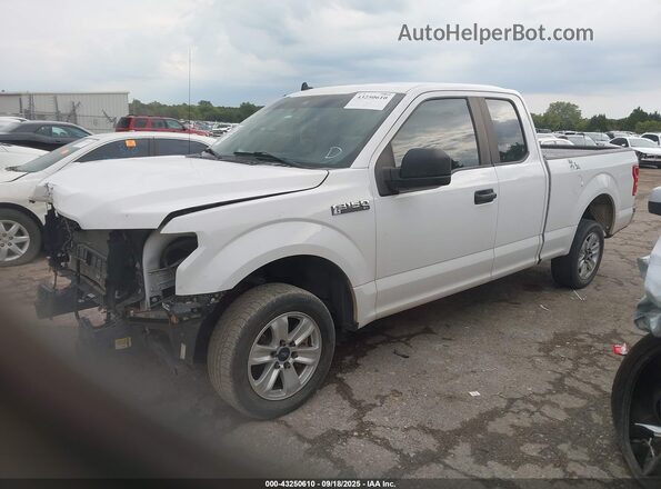 1FTEX1CB1LKF57996 2020 FORD F150 White Передня ліва чверть