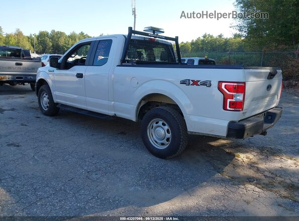 1FTEX1EB6LFA74042 2020 FORD F150 White უკანა მარცხენა