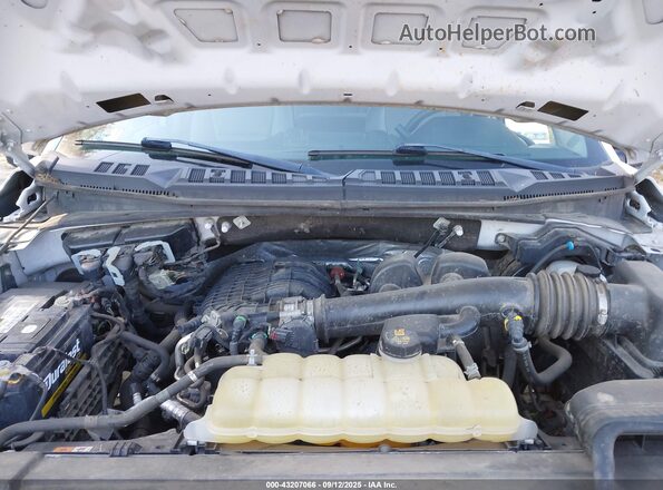 1FTEX1EB6LFA74042 2020 FORD F150 White უკანა ხედი