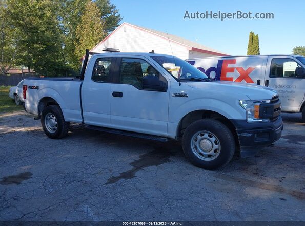 1FTEX1EB6LFA74042 2020 FORD F150 White უკანა სალონის ხედი