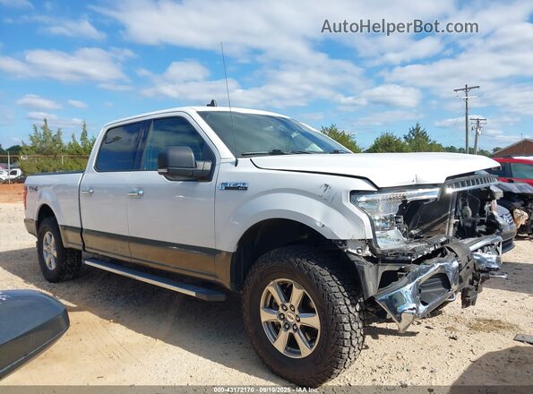 1FTFW1E59LFA76630 2020 FORD F150 White Вид задньої частини салону