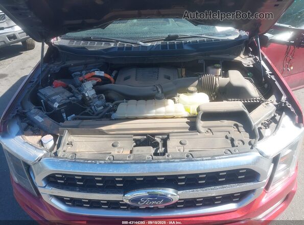 1FTFW1ED0NFC17143 2022 FORD F150 Красный Вид сзади