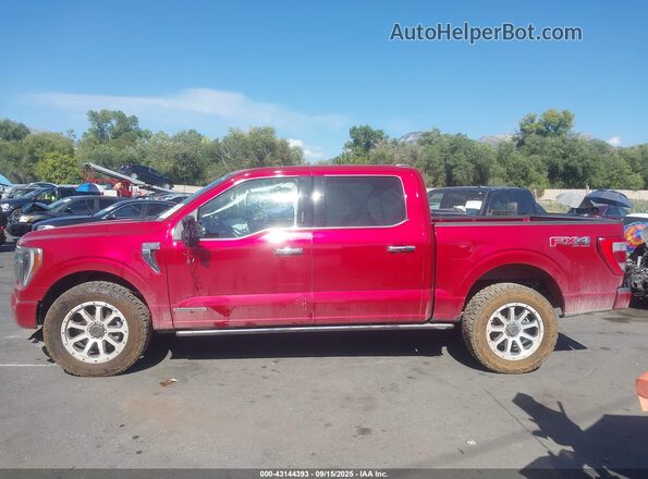 1FTFW1ED0NFC17143 2022 FORD F150 Красный Панорамный вид салона 360°