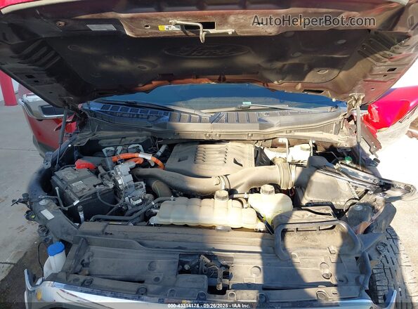 1FTFW1ED4NFB06725 2022 FORD F150 Red Vista trasera
