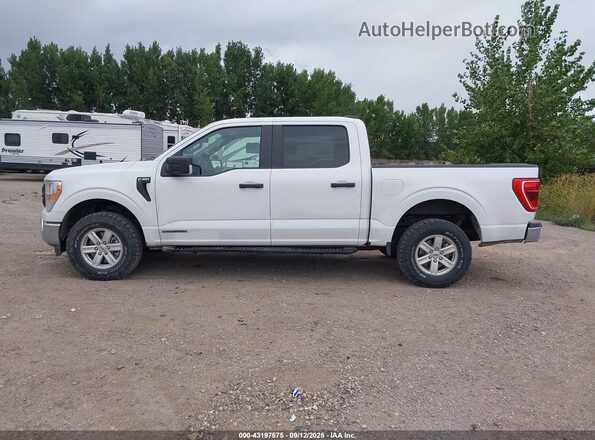 1FTFW1EDXNFB29796 2022 FORD F150 White 