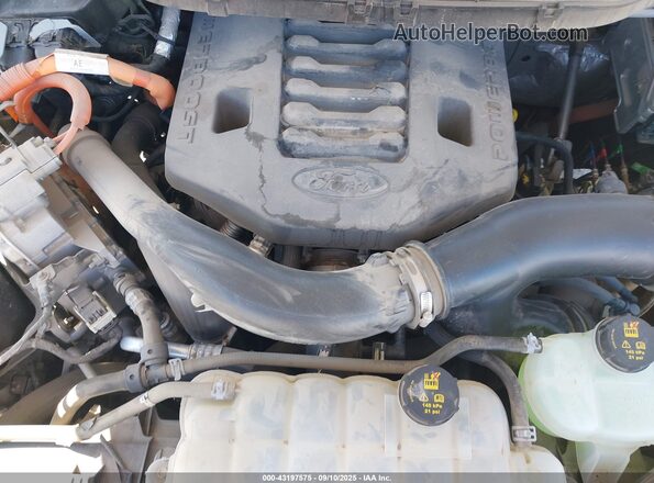 1FTFW1EDXNFB29796 2022 FORD F150 White Vista trasera