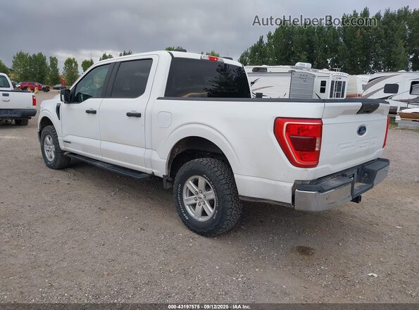 1FTFW1EDXNFB29796 2022 FORD F150 White Trasero izquierdo