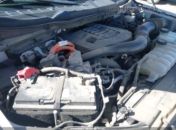 1FTFW1EDXNFB29796 2022 FORD F150 White 