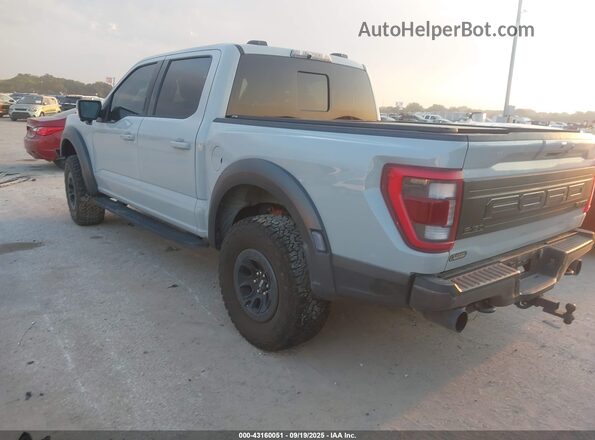 1FTFW1RG4PFC98364 2023 FORD F150 Gray Հետևի ձախ