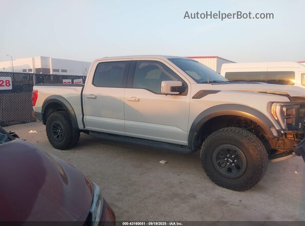 1FTFW1RG4PFC98364 2023 FORD F150 Gray Սալոնի հետևի տեսք