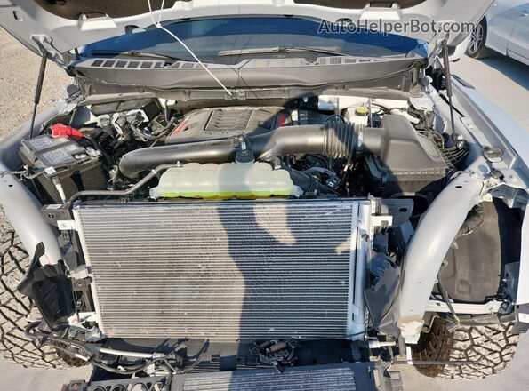 1FTFW1RG9SFA95091 2025 FORD F150 Gray 