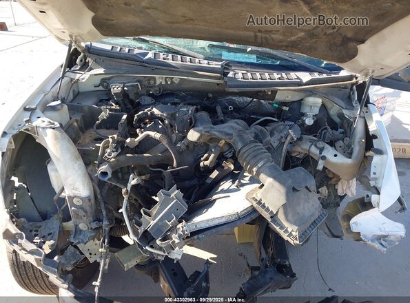 1FTMF1C8XGKD33957 2016 FORD F150 White უკანა ხედი