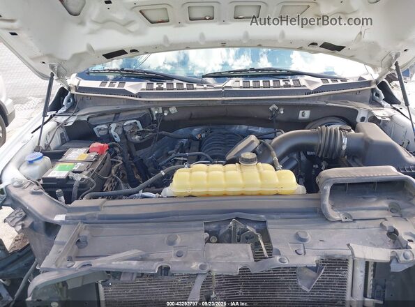 1FTNF1C50LKD79303 2020 FORD F150 Белый Вид сзади