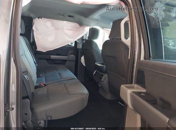 1FTVW3LK7SWG16717 2025 FORD F-150 LIGHTNING Gray Widok naklejki z numerem VIN