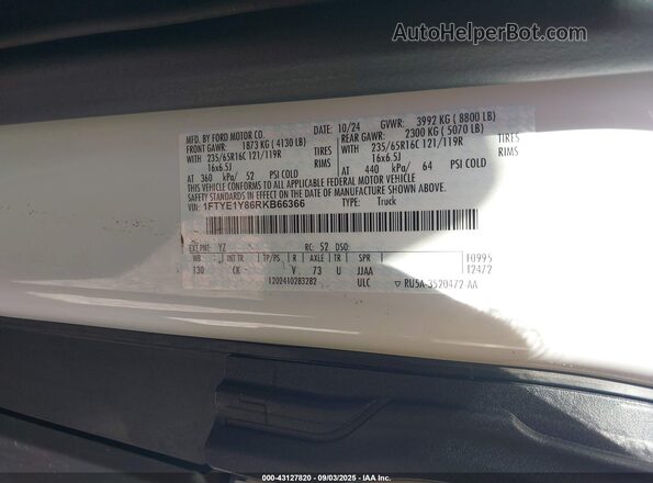 1FTYE1Y86RKB66366 2024 FORD TRANSIT-150 White Widok komory silnika