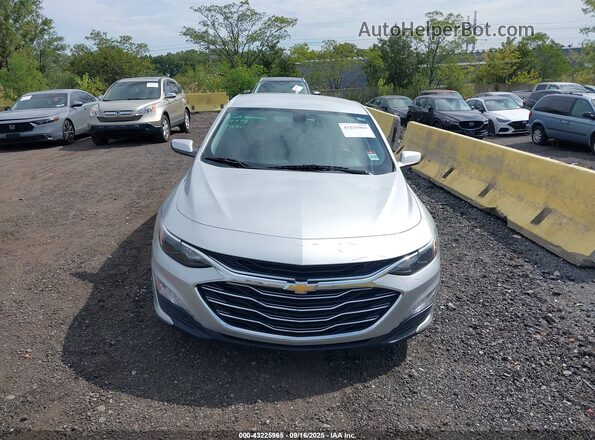 1G1ZD5ST5LF077778 2020 CHEVROLET MALIBU Gray უკანა სალონის ხედი