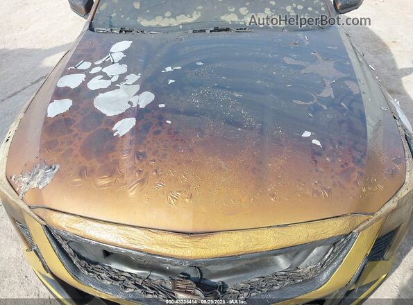 1G6D25R67S0860063 2025 CADILLAC CT5 Gold Widok z tyłu