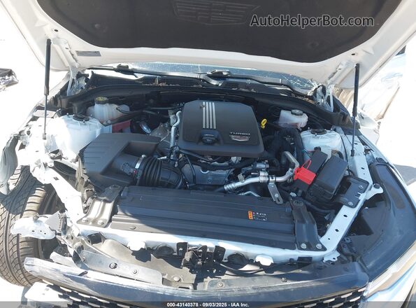1G6DB5RK2P0152887 2023 CADILLAC CT4 Белый 