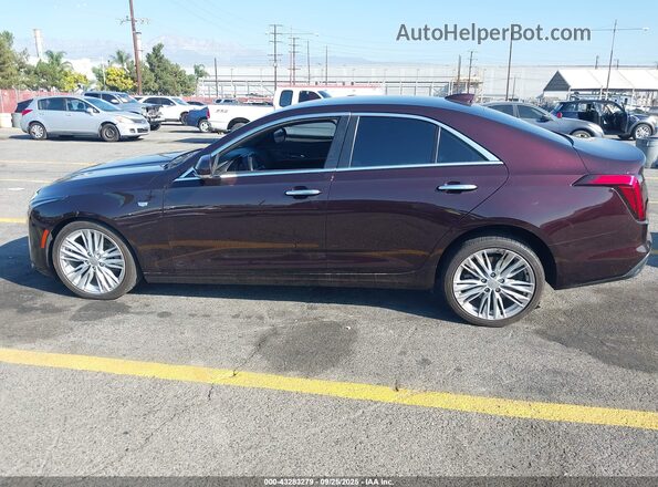 1G6DB5RKXN0111503 2022 CADILLAC CT4 Бордовый 