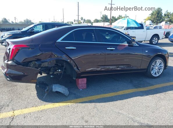1G6DB5RKXN0111503 2022 CADILLAC CT4 Бордовый Панорамный вид салона 360°