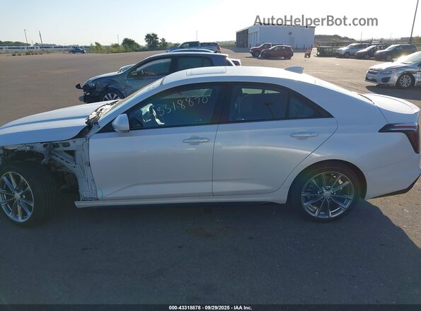 1G6DG5RK9M0106406 2021 CADILLAC CT4 Белый Панорамный вид салона 360°