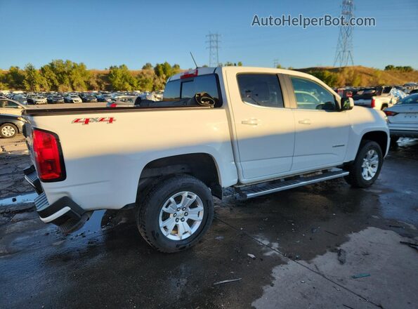 1GCGTCEN7K1220664 2019 CHEVROLET COLORADO White Задня права чверть