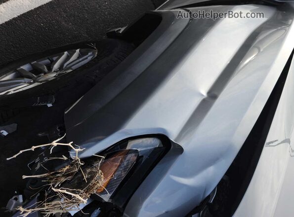 1GCPSBEK5S1124051 2025 CHEVROLET COLORADO  Widok wnętrza z przodu