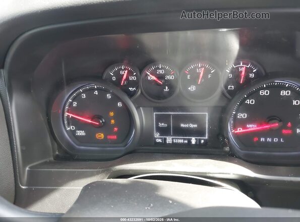 1GCPYCEF0LZ153399 2020 CHEVROLET SILVERADO Red Հետևի նստատեղերի տեսք