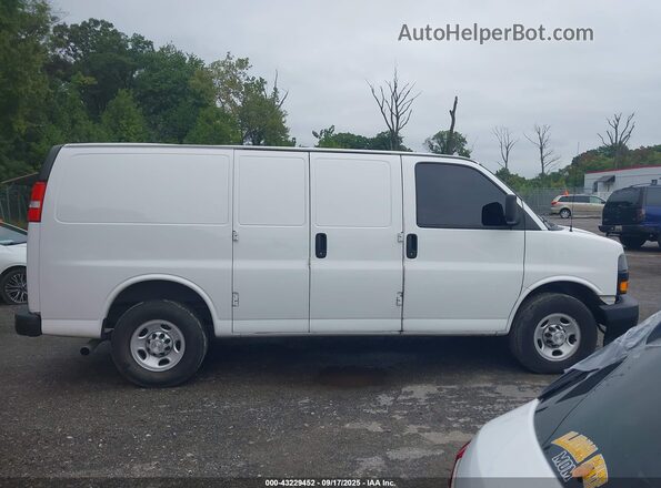 1GCWGAFP5L1159997 2020 CHEVROLET EXPRESS Белый Вид задней части салона