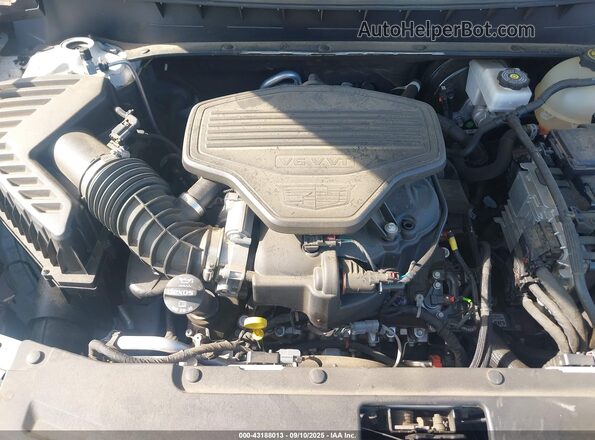 1GYKPCRS9LZ104958 2020 CADILLAC OTHER White უკანა ხედი