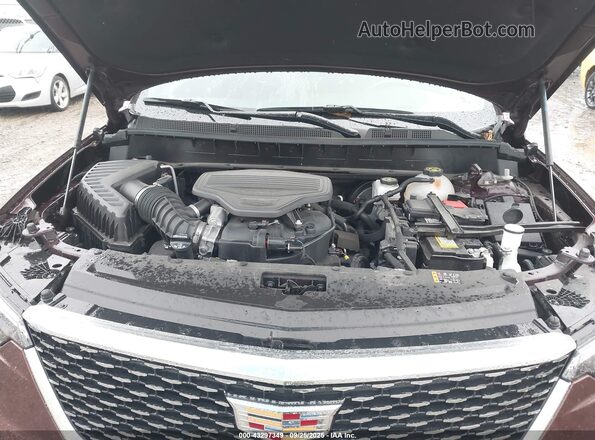 1GYKPDRS6PZ146919 2023 CADILLAC OTHER Бордовый Вид сзади