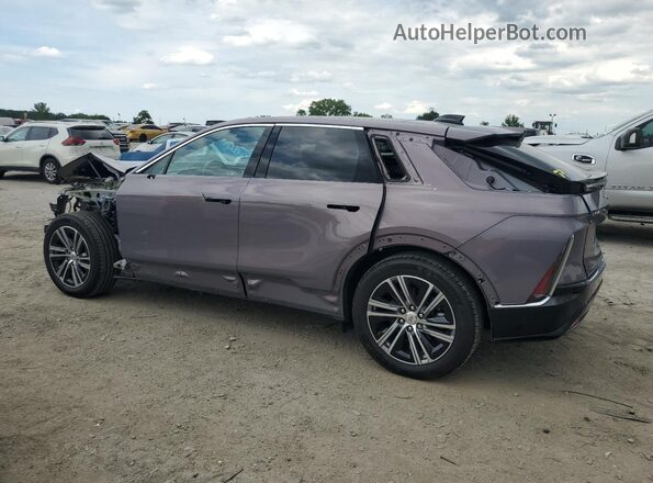 1GYKPSRK8RZ123665 2024 CADILLAC OTHER Purple უკანა მარცხენა