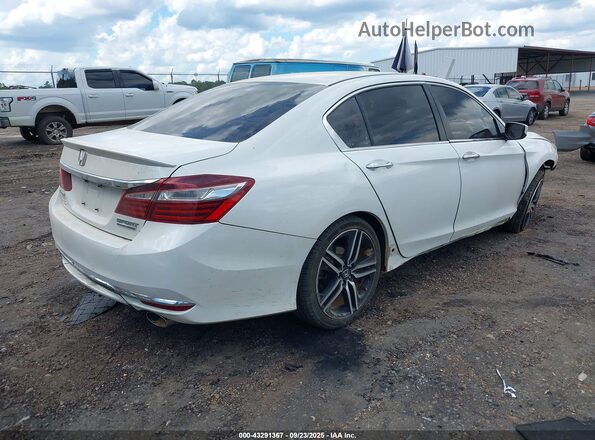1HGCR2F19HA036176 2017 HONDA ACCORD White უკანა მარჯვენა