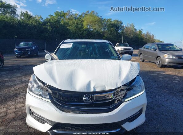 1HGCR3F80HA012481 2017 HONDA ACCORD White Rear interior view