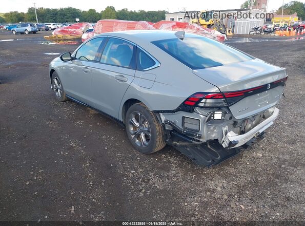 1HGCY2F62RA093416 2024 HONDA ACCORD Gray უკანა მარცხენა