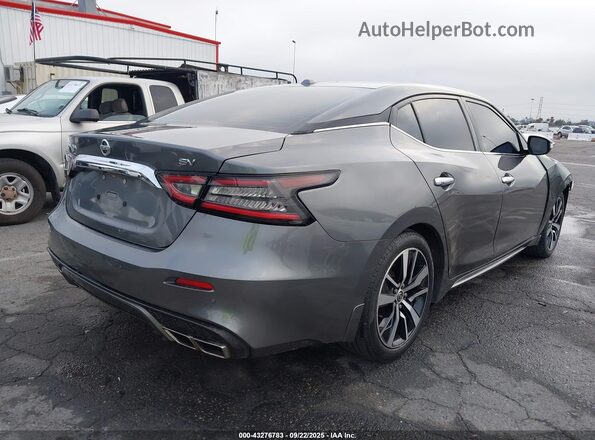 1N4AA6CV6MC514389 2021 NISSAN MAXIMA Gray Tył prawy