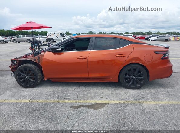 1N4AA6EV1LC373498 2020 NISSAN MAXIMA SR Orange Սալոնի հետևի տեսք