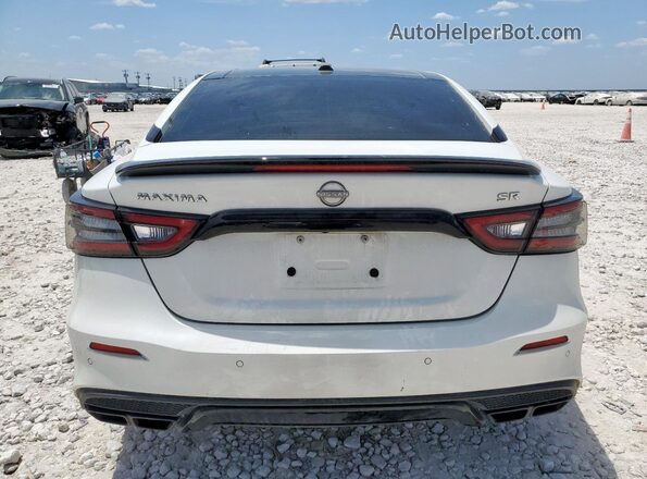 1N4AA6EV4PC502288 2023 NISSAN MAXIMA SR White Widok z tyłu