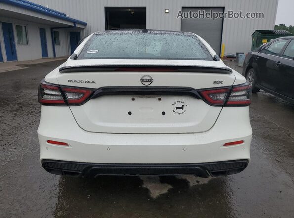 1N4AA6EV6PC504933 2023 NISSAN MAXIMA SR Белый Вид сзади