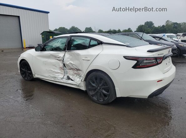 1N4AA6EV6PC504933 2023 NISSAN MAXIMA SR Белый Задняя левая четверть