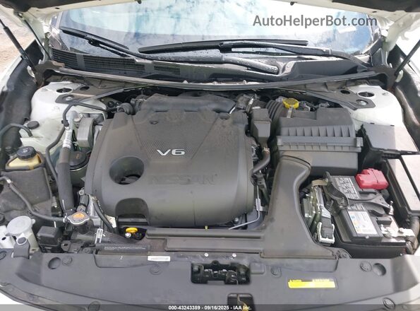 1N4AA6EV7PC502365 2023 NISSAN MAXIMA SR White Вид ззаду