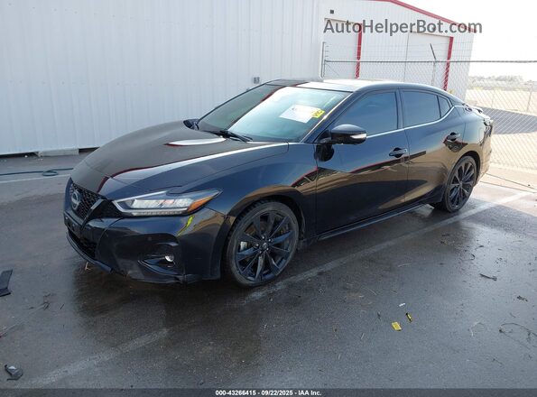 1N4AA6EVXPC502926 2023 NISSAN MAXIMA SR Black Vista tres cuartos delantera izquierda