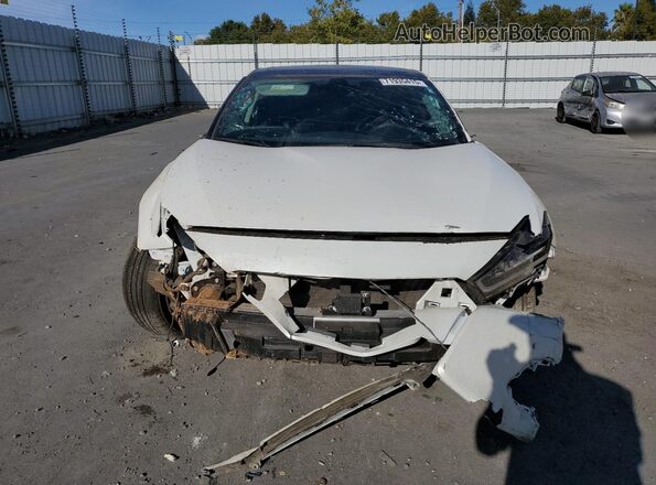 1N4AA6FV2PC509335 2023 NISSAN MAXIMA PLATINUM White Front view