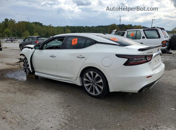 1N4AA6FV5PC503917 2023 NISSAN MAXIMA PLATINUM White Trasero izquierdo