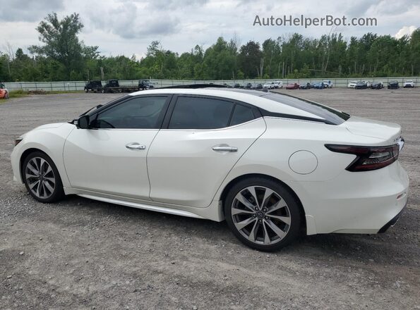 1N4AA6FVXPC501161 2023 NISSAN MAXIMA PLATINUM White Задня ліва чверть